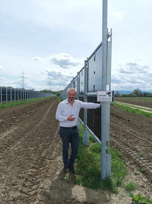 Lavanda negli impianti agrivoltaici (e fotovoltaici) - Linee guida per l'utilizzo della lavanda