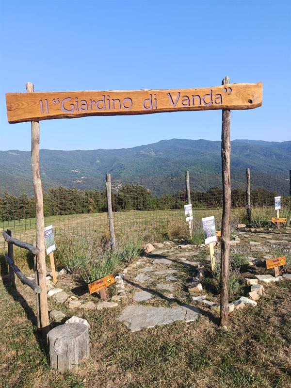 Campo del Gallo - loc. Aglio - Ottone (PC) Campo del Gallo - loc. Aglio - Ottone (PC)