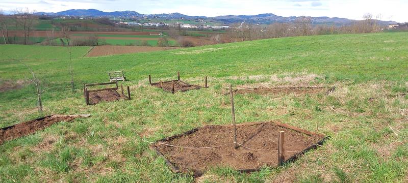campo in preparazione