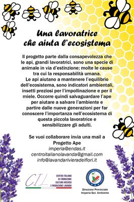 Progetto Ape Progetto Ape