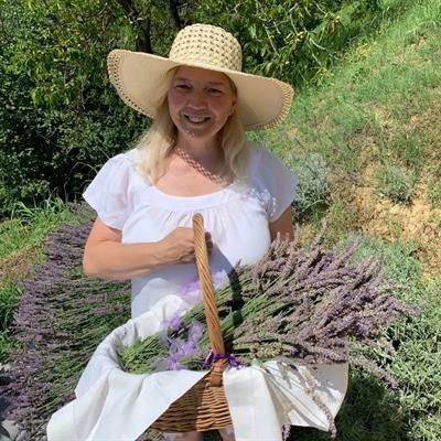 Eventi e Feste di Lavanda 
